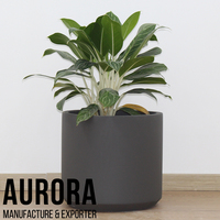 Meilleures ventes : Pots de fleurs en ciment du Vietnam, design moderne, couleur/taille/forme personnalisées, logo personnalisé, OEM/ODM, décoration pour la maison et le jardin