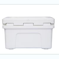Boîte isotherme portable TOLEE TOLEE en plastique pour vaccins, glacière médicale 20L avec roues et poignées, prix.