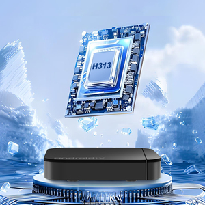 S13 Neo Android <span class=keywords><strong>TV</strong></span> Box H313 Quad Core 4K Reproductor Multimedia Inteligente Android 10 2.4G 5G WiFi Bajo Costo Venta al por Mayor Suministro OEM Mercado Global - Product Image 2