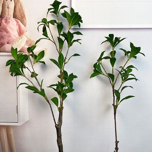 Foglie Artificiali di Pieris Japonica (Campanula) Eco-Friendly per Decorazione Albero di Ringraziamento, Alta Simulazione, Vendita all'Ingrosso per Sala Espositiva - Product Image 3