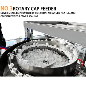 Stand Up Spout Pouch Detergent Liquid Form Fill Seal Packing Machine