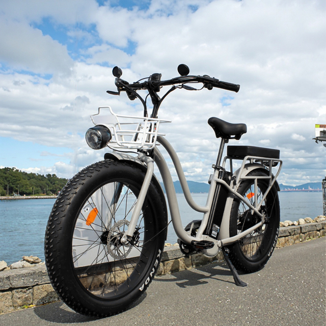 Wholesaled Long Range 48V 500W Electric Fatbike Beach Cruiser with Disc Brake for Electric Bicycle Sharing Rental