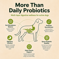 OEM ODM Probiotiques pour chiens sous forme de friandises molles, à base de spores, 8 souches, prébiotiques, santé digestive, supplément immunitaire, poulet hydrolysé