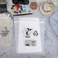 Sacs refermables compostables PLA biodégradables EN13432 imprimés sur mesure, givrés, 20x30cm, pour l'emballage d'appareils photo