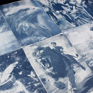 Kit DIY de cyanotype sur papier A4 vierge, 5 feuilles, pour créer votre propre design, idéal pour la décoration intérieure et les cadeaux uniques, avec tutoriel – Meilleures ventes - Product Image 4
