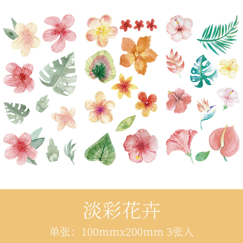 B No.2: ดอกไม้สีอ่อน