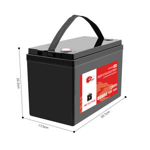 EU 스톡 딥 사이클 리튬인산철(LiFePO4) 충전식 태양광 에너지 저장 배터리 12V 12.8V 100ah 리튬 이온 리튬인산철 배터리 - Product Image 2