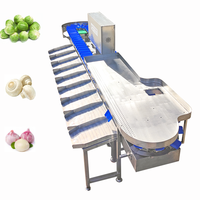 Avocado Oranje Cranberry Perzik Maïs Groente Ui Grader Schaal Dragon Fruit Automatische Milieuvriendelijke Commerciële Gebruiksmachine