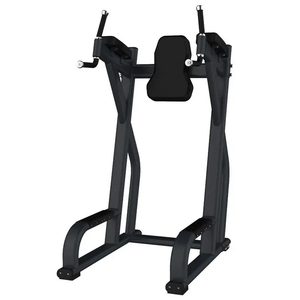 Nieuwe Aankomst Commerciële Gymrek Multifunctionele Stalen Bodybuilding Apparatuur Verticale Knie Voor Krachttraining - Product Image 1