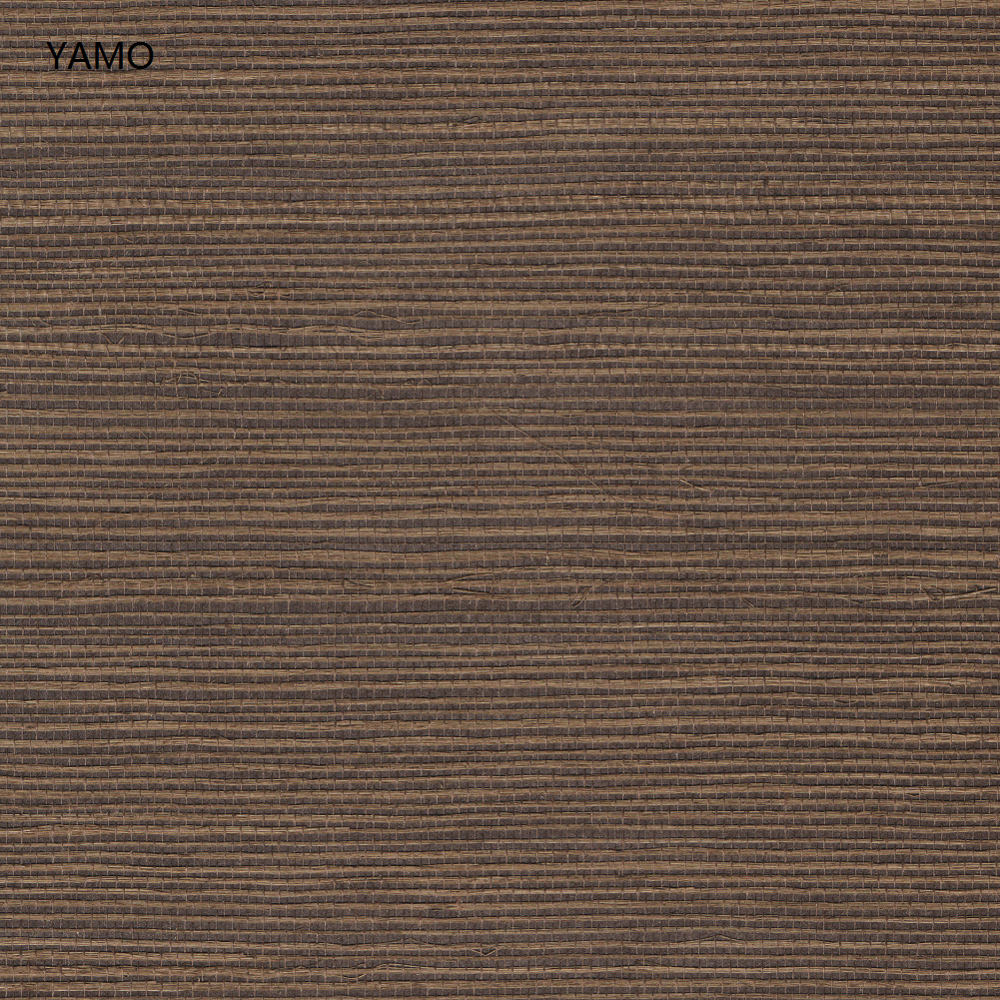 Y5-I06
