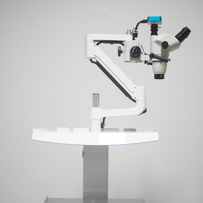 NEW Wholesale Wireless Endodontic Treatment Digital