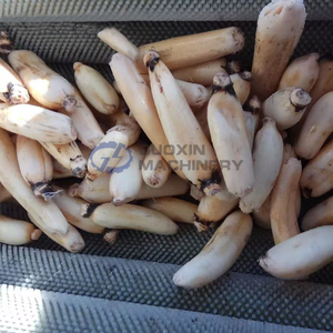 Tự động 1000 kg mỗi giờ cà rốt đường củ cải Khoai Lang gốc Rau rửa máy lột bàn chải con lăn Máy làm sạch - Product Image 4