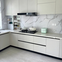 Meubles de cuisine modernes à prix abordable, design pur ou grain de bois, pour appartement
