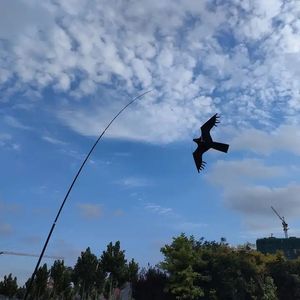 Cerf-volant effrayant en forme d'oiseau animal <span class=keywords><strong>anti</strong></span>-pigeon, faucon, aigle, fabriqué à Weifang, avec mât de 4 m ou 6 m - Product Image 6