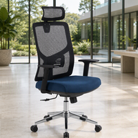 Chaise de bureau contemporaine confortable pour une utilisation prolongée, dossier en maille, hauteur réglable, chaise ergonomique