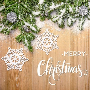 Flocons de <span class=keywords><strong>neige</strong></span> artificiels poudre de <span class=keywords><strong>neige</strong></span> <span class=keywords><strong>blanche</strong></span> scintillante pour la décoration de l'arbre de Noël et du festival d'hiver - Product Image 6