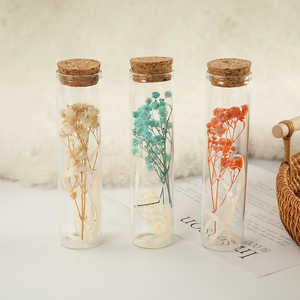 <span class=keywords><strong>Mini</strong></span> rose éternelle premium en tube à essai, fleur séchée, bouteille à vœux pour la décoration intérieure, cadeau de la Saint-Valentin - Product Image 1