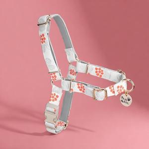 Harnais pour chien de taille L, moderne, luxueux, respirant, adorable, durable, anti-traction, imprimé exclusif, personnalisé, OEM ODM - Product Image 1