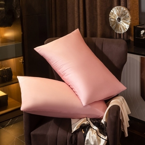 Thoải Mái Mềm Mại 100% Dâu Tằm 22 <span class=keywords><strong>Mmi</strong></span> Satin Vỏ Gối - Product Image 2