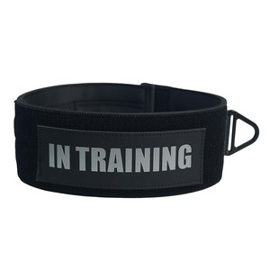 7cm Wide Premium Dog <b>Collar</b> <b>Metal</b> Buckle Tactical Nylon <b>Collar</b> Working Dog Hound Outdoor Training Dog Supplies - Product Image 2