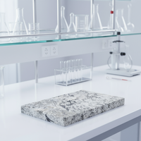 Carreaux de granit résistants aux acides, revêtements et sols en pierre résistants aux produits chimiques pour usage industriel et en laboratoire