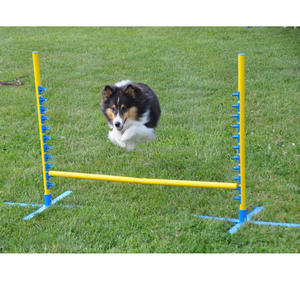 Barre d'agilité pour chien, saut, obstacles intérieurs et extérieurs, équipement de parcours réglable pour animaux de compagnie - Product Image 4
