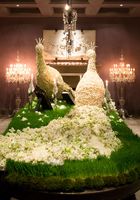 Vente en gros d'usine, paon décoratif élégant pour fête de vacances, fleur artificielle naturelle