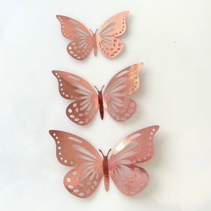 12 pièces/sac Décoration de gâteau en acrylique double face style papillon Ins pour la fête des mères et les anniversaires, fournitures de décoration de gâteaux - Product Image 2