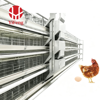 Cage à poules pondeuses conventionnelle à 3 niveaux en fil d'acier galvanisé avec abreuvoir à tétine et mangeoire pour ferme avicole