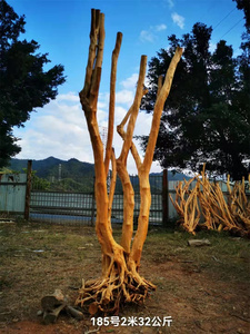 Aksesori Akuarium Kayu Apung Dekorasi Tangki Ikan Kayu Apung untuk Dekorasi - Product Image 5