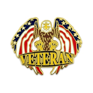 Tùy chỉnh cánh cựu chiến binh <span class=keywords><strong>EAGLE</strong></span> mạ Vàng MEN hàng không cánh pin với an toàn ly hợp trở lại - Product Image 3