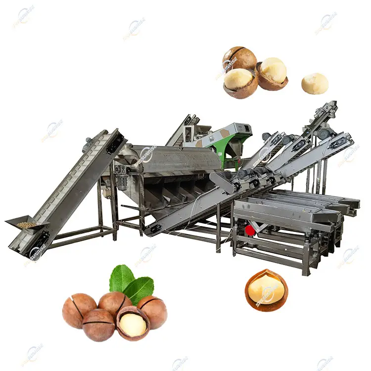 Machines de décortiqueur automatique Amande Macadamia Noix Grading Husker Décortiqueuse Ouverture Cracking Machine