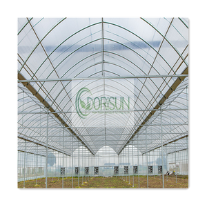 Invernaderos de Agricultura de <span class=keywords><strong>casa</strong></span> verde Multi Span Tropical de alta calidad Invernadero de vidrio victoriano industrial con <span class=keywords><strong>precio</strong></span> bajo - Product Image 3