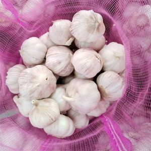 <strong>Fresh</strong> <strong>Garlic</strong> Chinese New Crop Ail Supply As <strong>Garlic</strong> and Pure White Alho Ajo From Wholesale <strong>Garlic</strong> Manufacturer - Product Image 4