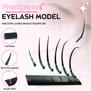 Prêt à expédier : Kits de formation en greffe de <span class=keywords><strong>cils</strong></span>, modèles de <span class=keywords><strong>cils</strong></span> pour les institutions, <span class=keywords><strong>cils</strong></span> pour l'enseignement, démonstration, présentoir de magasin de <span class=keywords><strong>cils</strong></span> - Product Image 5