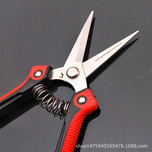 Sécateur en acier inoxydable avec lame de 70 mm, manche rouge, cueilleur de fruits pour le jardinage avec mécanisme de retour à ressort - Product Image 2