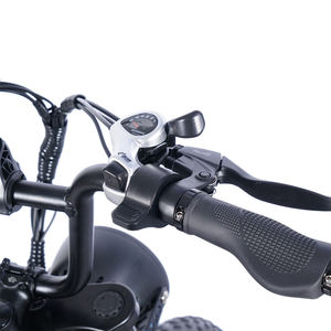 Comprar Bicicleta Eléctrica Rápida de Montaña <span class=keywords><strong>Fatbike</strong></span>, Bicicleta Eléctrica de 250W con Neumáticos Anchos, Motor Ebike, Precio de Fábrica, Almacén en el Extranjero - Product Image 4