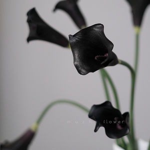 Real Touch <span class=keywords><strong>Fleurs</strong></span> <span class=keywords><strong>Arum</strong></span> Lily PU Calla Lily Fleur Artificielle Mariage Décor Maison <span class=keywords><strong>Fleurs</strong></span> Décoratives pour Noël Graduation - Product Image 2