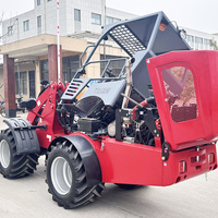 Neues Produkt DY50 Mini-Frontlader Taian Marke Kleineradlader