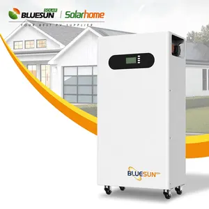 Bluesun hotsell baterai lithium ion baterai terbaik untuk sistem tenaga surya membeli baterai lithium dari pabrik Cina