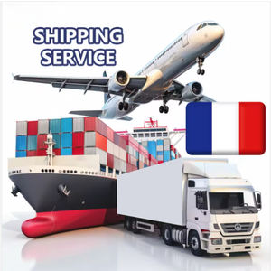 Transporte Marítimo Económico DDP Logística de China a India, Estados Unidos, Reino Unido, Canadá, España, Singapur, Portugal, Agente de Envío Exprés UPS DHL - Product Image 4