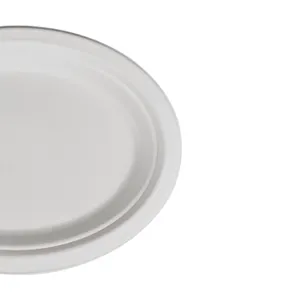 Low price Attractive Latest desirable Dinner Plate Manufacturer Corn Starch Snack Plate