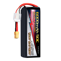 Batterie FPV Vant, batterie de drone 6S 22.2V 6000mAh 50C, batterie Lipo RC avec XT60 pour drone FPV, UAV