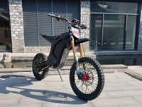 Véhicule tout-terrain électrique professionnel sans balais Arctic Leopard XF-PRO 2026 pour la course et l'exploration en extérieur