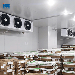 Chambre froide commerciale à congélation rapide avec unité de réfrigération monobloc Copeland et <span class=keywords><strong>panneau</strong></span> <span class=keywords><strong>solaire</strong></span> <span class=keywords><strong>pour</strong></span> viande de poulet surgelée rapidement - Product Image 2