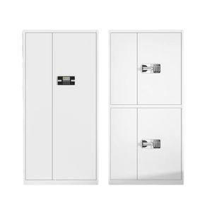 Armadio Archivio in Acciaio Verniciato a Polvere con 2 Ante per Ufficio - Product Image 4