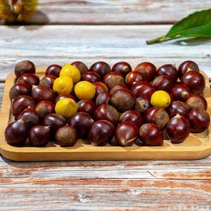 جودة عالية الكستناء الصينية الطازجة الصف a g مربع التعبئة والتغليف الأصل فوجيان حار بيع نمط الحلو لذيذ - Product Image 5