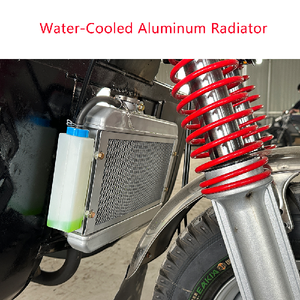 Heavy-Duty Motorized <b>Gasoline</b> Lift Tricycle 200cc Water-Cooled 1T Load Capacity for Warehouse Construction Farm Use Customizable - Product Image 5