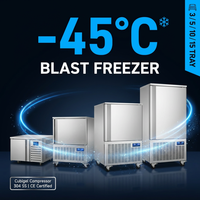 Conteneurs de congélation sur mesure pour chambre froide et congélateur rapide -45°C ℃   Congélateur à choc rapide pour fruits de mer, crème glacée, pâte et raviolis