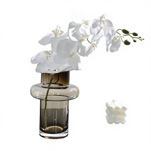 Jarrón de Vidrio Transparente de Color Té, Estilo Nórdico Minimalista Moderno, Semi-Artesanal, <span class=keywords><strong>para</strong></span> Bodas, Fiestas de Cumpleaños y Decoración del Hogar - Product Image 1